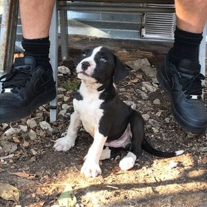 Meet your Posher, Javier